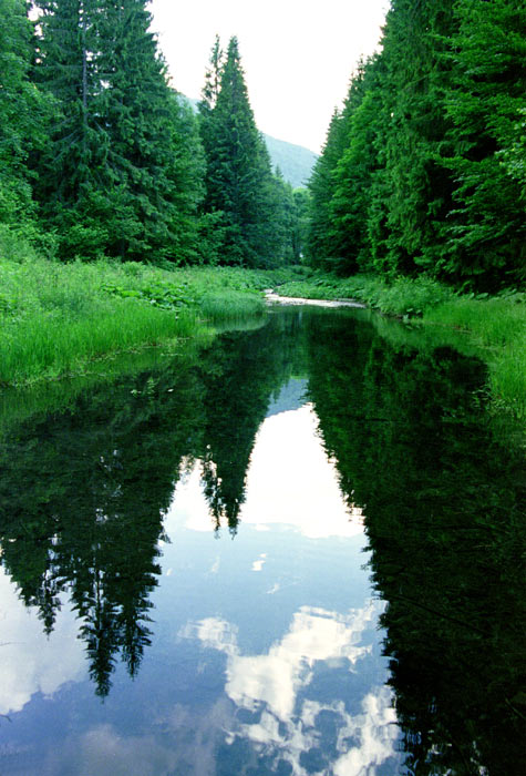 Klauzy